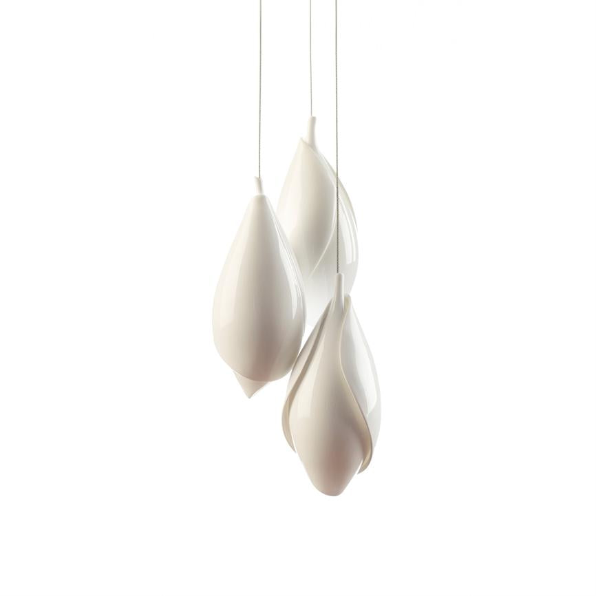 Chrysalis – Weiß