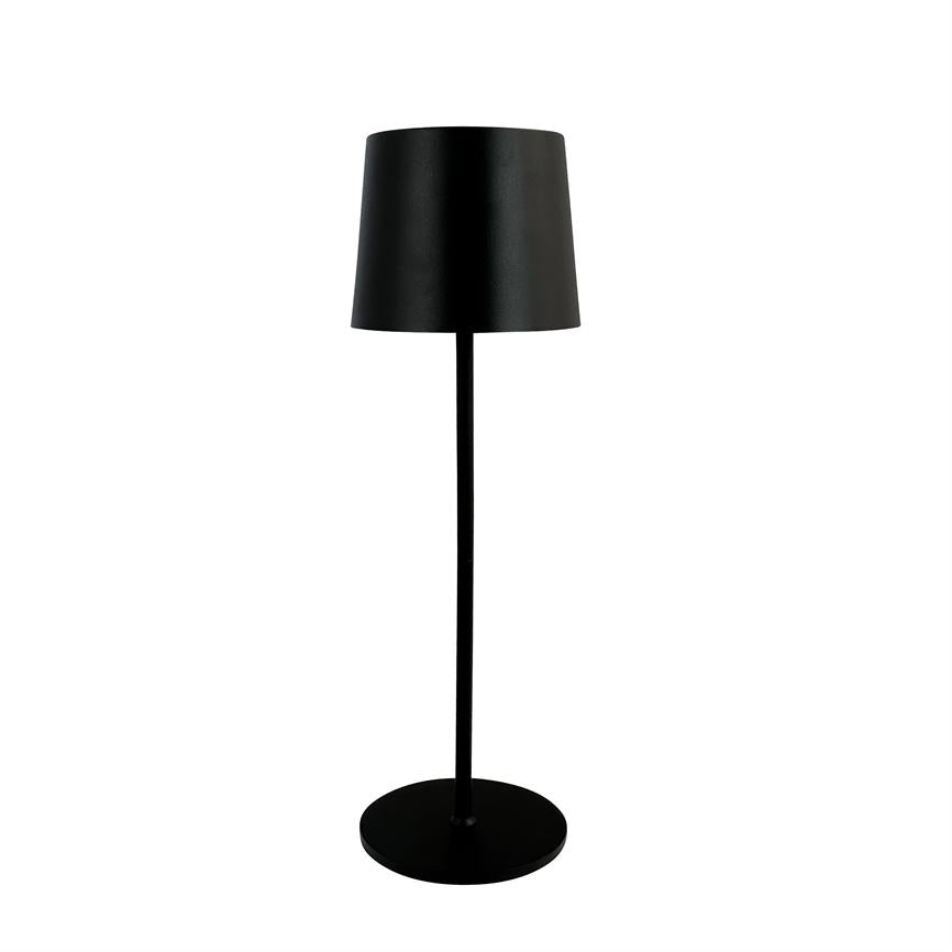 KARL LED Leuchte mit 2 Röhren schwarz