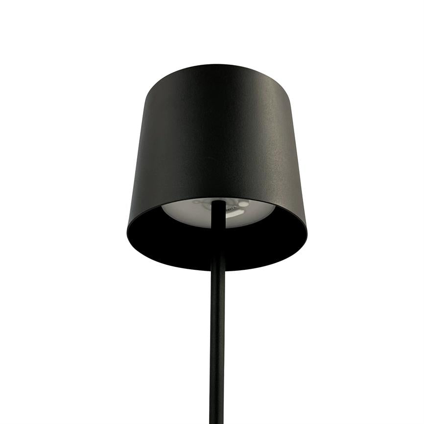 KARL LED Leuchte mit 2 Röhren schwarz